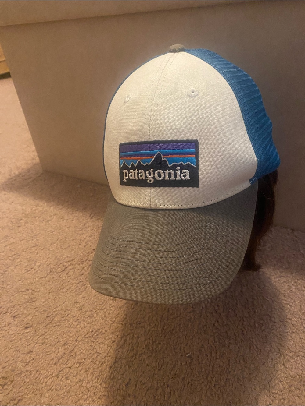 Patagonia Trucker Cap in White, Blue & Olive Green